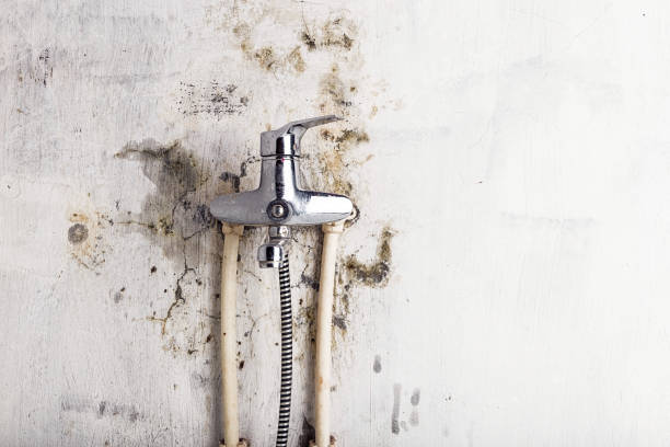 Best Water Damage Restoration  in Wood Village, OR