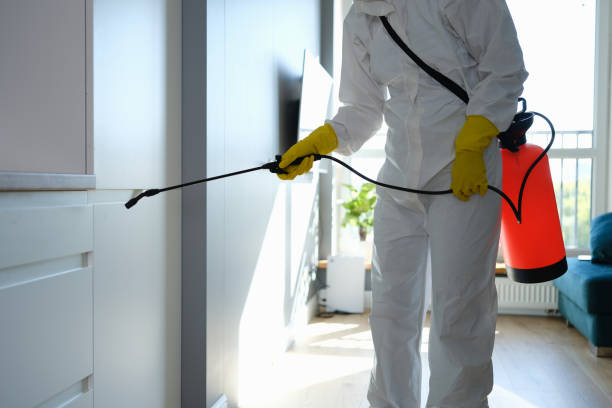 Mold Removal and Inspection in Wood Village, OR