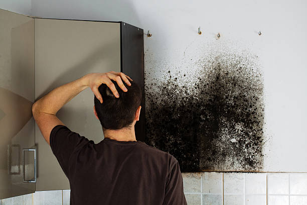 Best Crawl Space Mold Removal  in Wood Village, OR